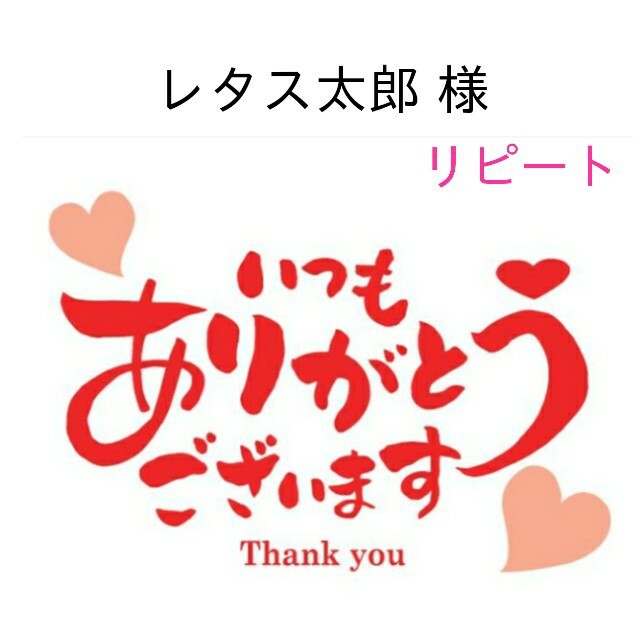 取扱店専門 レタス太郎 様 ページ ネイル rhythmtrick.com