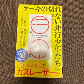 ケーキの切れない非行少年たち(文学/小説)