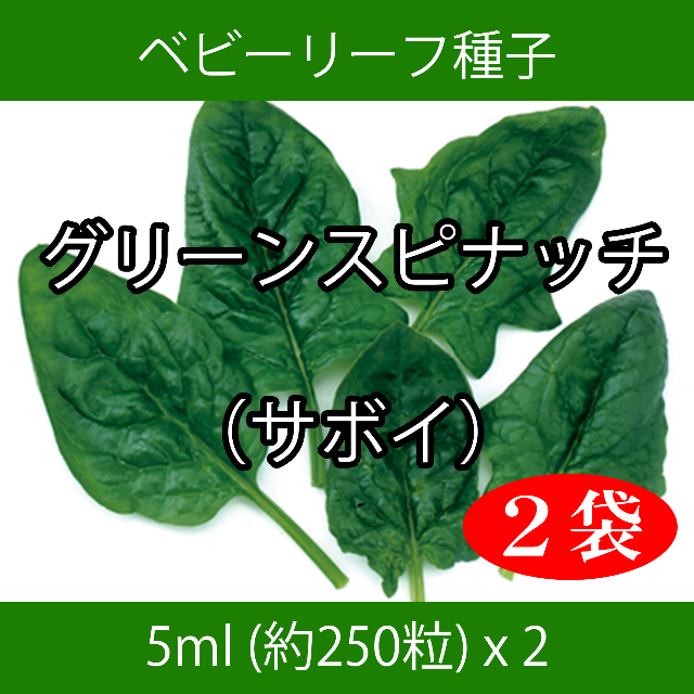 ベビーリーフ種子 B-40 グリーンスピナッチ（サボイ） 5ml x 2袋 食品/飲料/酒の食品(野菜)の商品写真