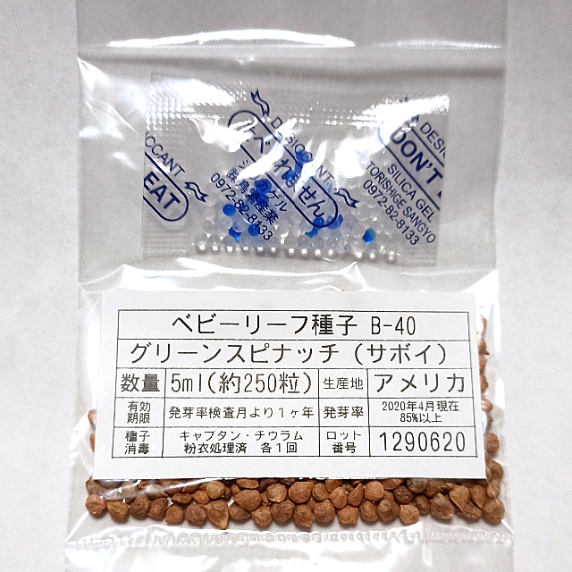 ベビーリーフ種子 B-40 グリーンスピナッチ（サボイ） 5ml x 2袋 食品/飲料/酒の食品(野菜)の商品写真