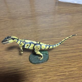 カイヨウドウ(海洋堂)のチョコラザウルス タカラトミー イグアノドン アロサウルス トリケラトプス他(その他)