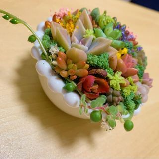 ❤︎多肉植物　白の陶器　寄植え❤︎このまま発送