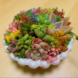 ❤︎多肉植物　白の陶器　寄植え❤︎このまま発送