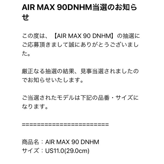 DENHAM×Nike AIR MAX 90 29cm 3