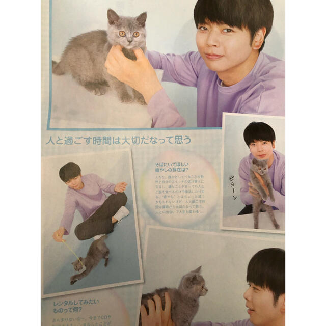 Johnny S News 増田貴久くん レンタルなんもしない人 切り抜きの通販 By ぬえ S Shop ジャニーズならラクマ Johnny S News 増田貴久くん レンタルなんもしない人 切り抜きの通販 By ぬえ S Shop ジャニーズならラクマ