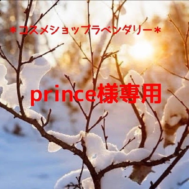 prince様専用 bookbuzz.net