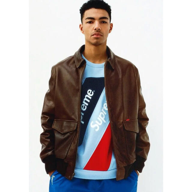 Supreme(シュプリーム)のsupreme schott A-2 leather jacket メンズのジャケット/アウター(レザージャケット)の商品写真