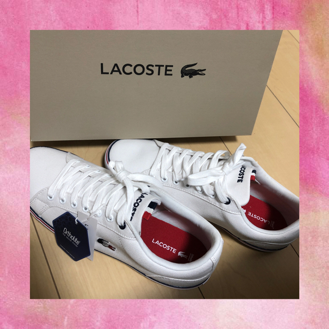 ローカットスニーカー LACOSTE WHITE