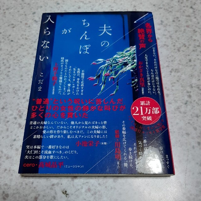 夫のちんぽが入らない エンタメ/ホビーの本(文学/小説)の商品写真