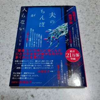 夫のちんぽが入らない(文学/小説)