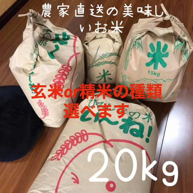 農家直送の美味しいお米 令和2年度産 ヒノヒカリ 20キロ米/穀物