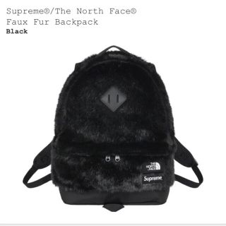 シュプリーム(Supreme)のsupreme  BACKPACK THENORTHFACE(バッグパック/リュック)