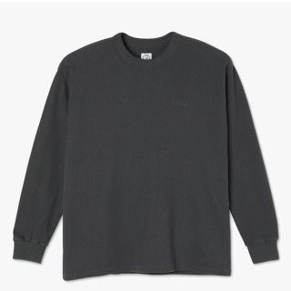 ポラール(POLAR)のPOLAR SKATE CO.  SHIN LONGSLEEVE (スウェット)