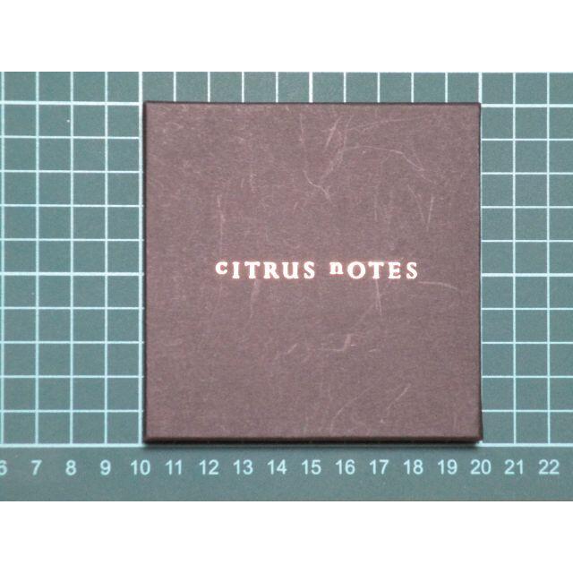 CITRUS NOTES(シトラスノーツ)のCITRUS NOTES シトラスノーツ オリジナルミラー レディースのファッション小物(ミラー)の商品写真