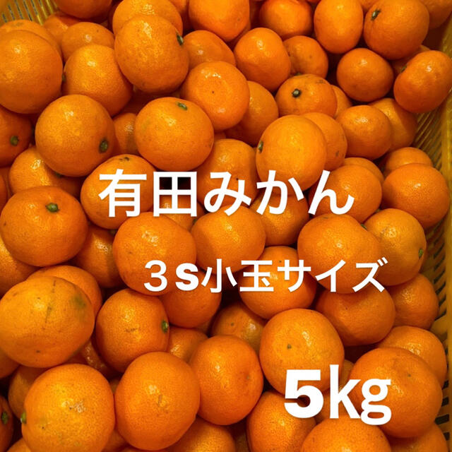 有田みかん３S小玉サイズ　5㎏入り‼️ 食品/飲料/酒の食品(フルーツ)の商品写真