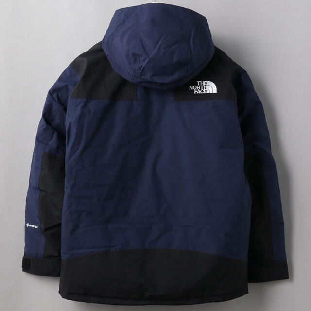 the north face Mountain Down Jacket