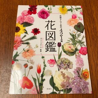 花屋さんで人気の４２１種大判花図鑑(趣味/スポーツ/実用)