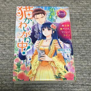 引退王は猫かわいがり中！ 異世界癒やされマリッジライフ(文学/小説)