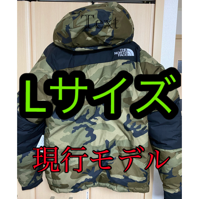 THE NORTH FACE(ザノースフェイス)のバルトロライトジャケット  ノベルティ　L メンズのジャケット/アウター(ダウンジャケット)の商品写真