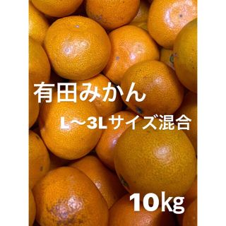 有田みかん　L〜3Lサイズ混合　10㎏入り‼️(フルーツ)