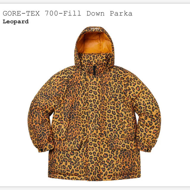 Supreme GORE-TEX 700-Fill Down Parka