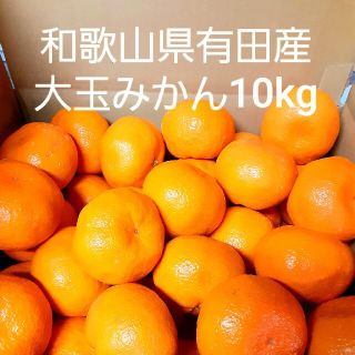 やぎこ様専用 和歌山県有田産 大玉みかん10kg(フルーツ)