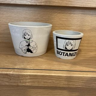 バックサイドワークス ボタナイズ 限定 植木鉢Sサイズ