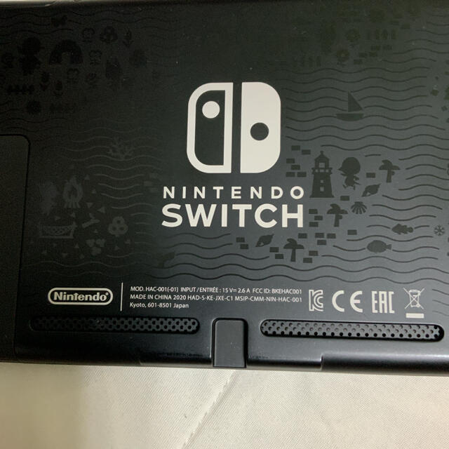 Nintendo Switch あつまれどうぶつの森セット