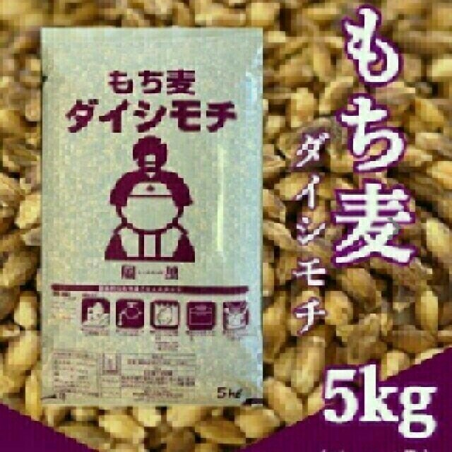 ダイシモチ 食品/飲料/酒の食品(米/穀物)の商品写真