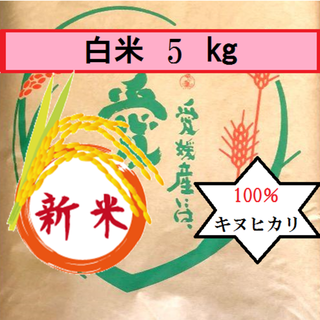 お米　令和2年　愛媛県産キヌヒカリ　白米　5㎏(米/穀物)