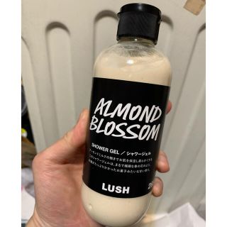 ラッシュ(LUSH)のLUSH シャワージェル(ボディソープ/石鹸)