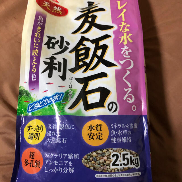 メダカ飼育セット 大 麦飯石 の通販 By 工房うさぎや ラクマ