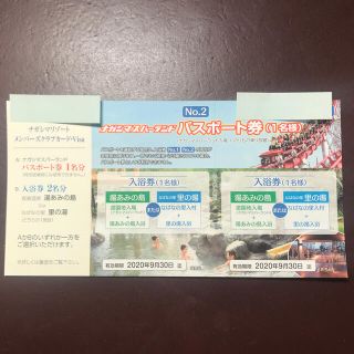 ナガシマスパーランドパスポート(遊園地/テーマパーク)