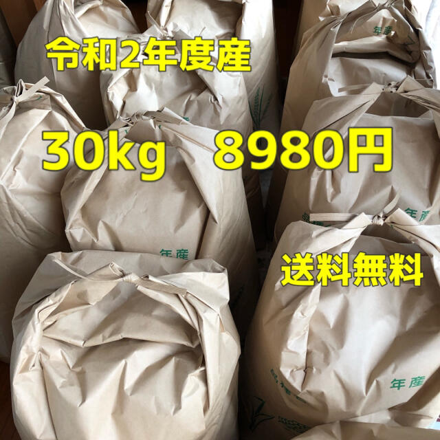 美品  令和2年度産 玄米30kg ヒノヒカリ 米/穀物