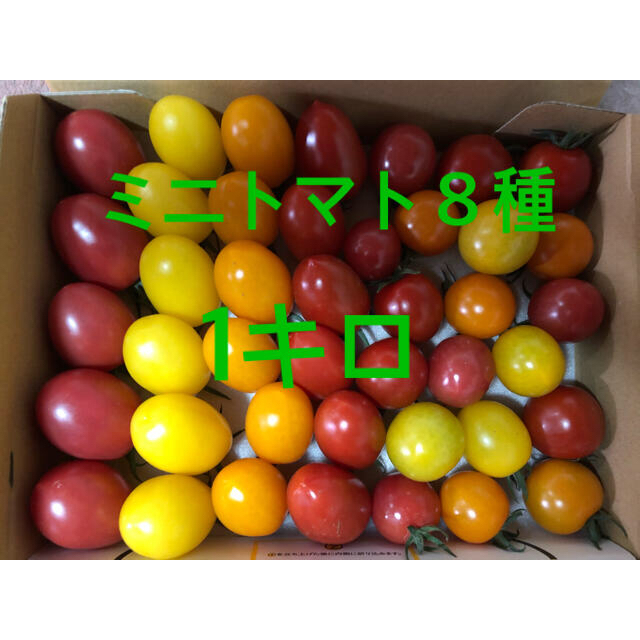 ミニトマト８種セット　1キロ 食品/飲料/酒の食品(野菜)の商品写真