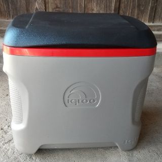 IGLOO イグルー クーラーボックス コンツアー30 中古(その他)