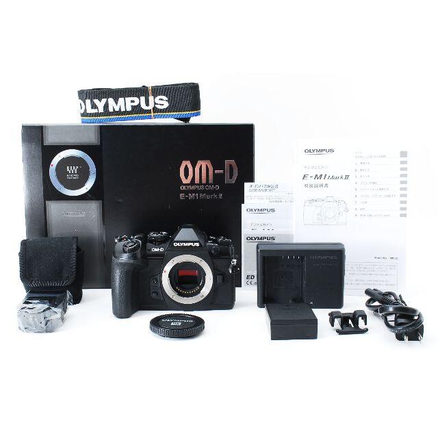 華麗 OLYMPUS マーク2【ショット数714回】 MarkII M1 E OM-D ミラー