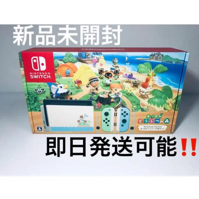 Nintendo Switch あつまれ どうぶつの森セット