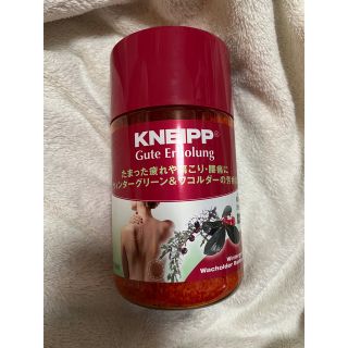 クナイプ(Kneipp)の【送料込】クナイプ　バスソルト　ウィンターグリーン&ワコルダーの香り　850g(入浴剤/バスソルト)