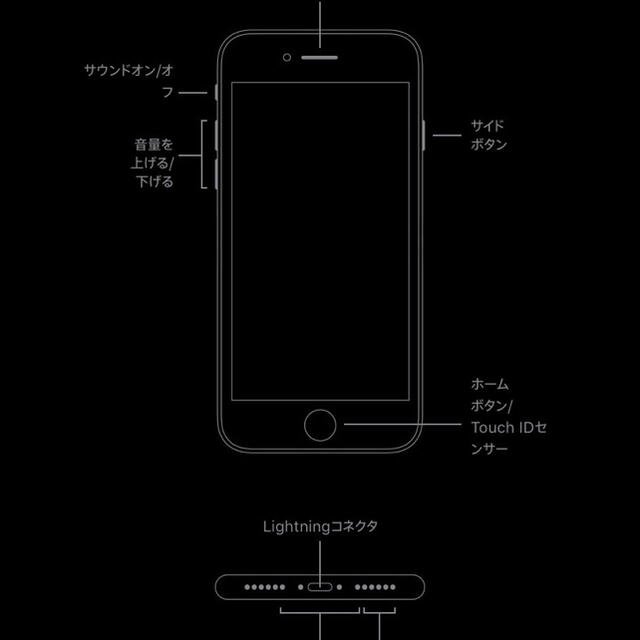 Apple(アップル)のiPhone SE2 64GB White スマホ/家電/カメラのスマートフォン/携帯電話(スマートフォン本体)の商品写真