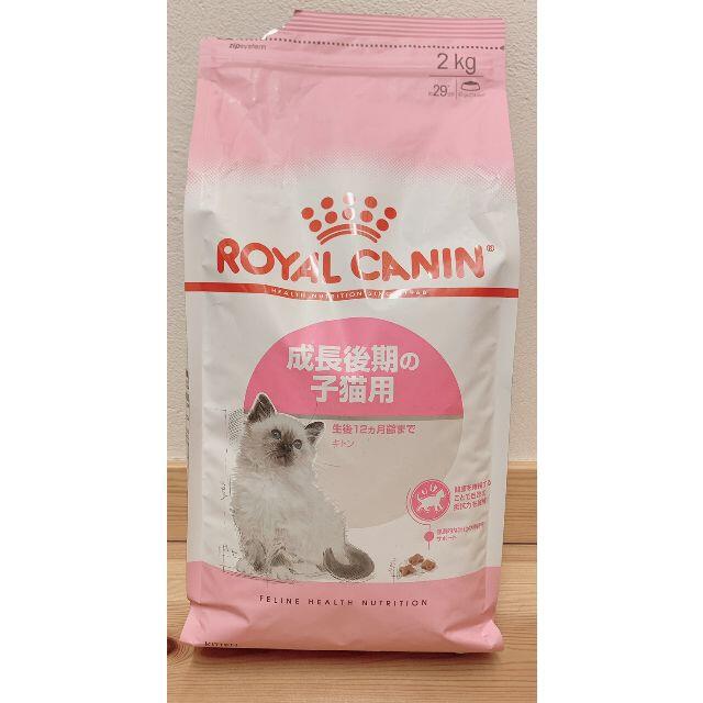ロイヤルカナン　成長後期の子猫用　キトン　2kg 新品未開封