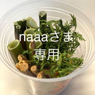 小動物うさぎおやつ(小動物)