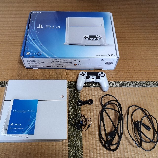 PlayStation4 本体 動作確認済 CUH-1100AB02