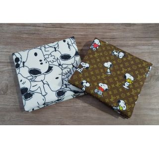 スヌーピー(SNOOPY)のスヌーピー  サニタリーケース  ハンドメイド  2点セット(その他)