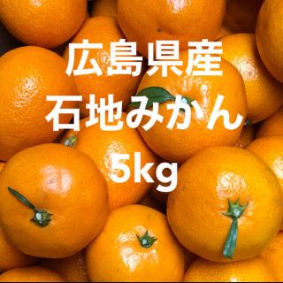 広島県産　石地みかん　いしじ　蜜柑　5kg 産地直送　送料無料(フルーツ)