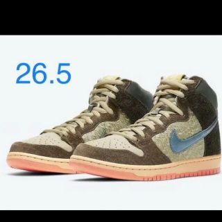 ナイキ(NIKE)のCONCEPTS NIKE SB DUNK HIGH PRO QS (スニーカー)