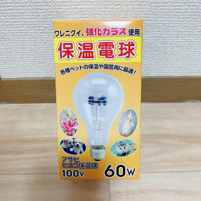 ★年明け発送　アサヒ ヒヨコ保温電球 100v 60w  インテリア/住まい/日用品のライト/照明/LED(蛍光灯/電球)の商品写真