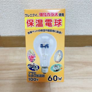 ★年明け発送　アサヒ ヒヨコ保温電球 100v 60w (蛍光灯/電球)