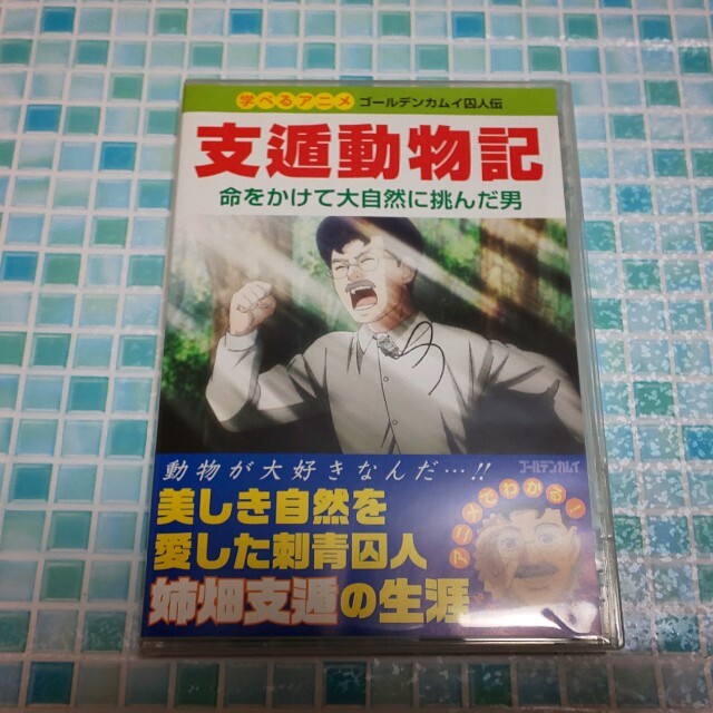 ゴールデンカムイ 23巻 DVD同梱版 支遁動物記