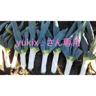 本場下仁田ネギ(野菜)